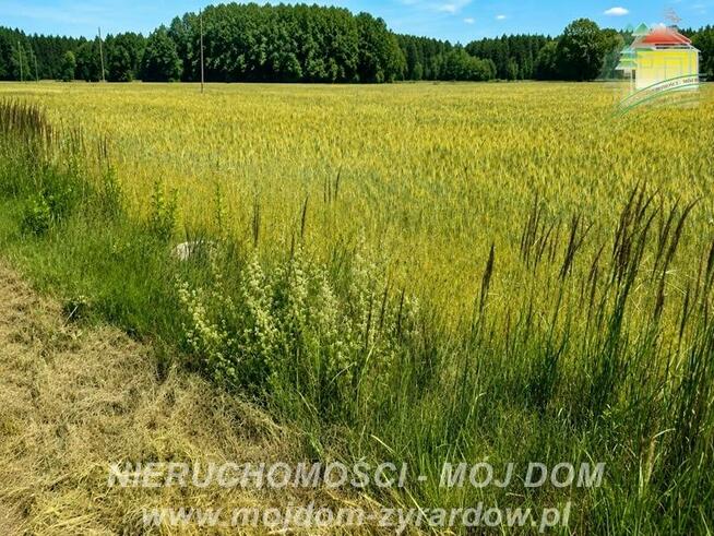 Działka rolna Studzieniec gm. Puszcza Mariańska