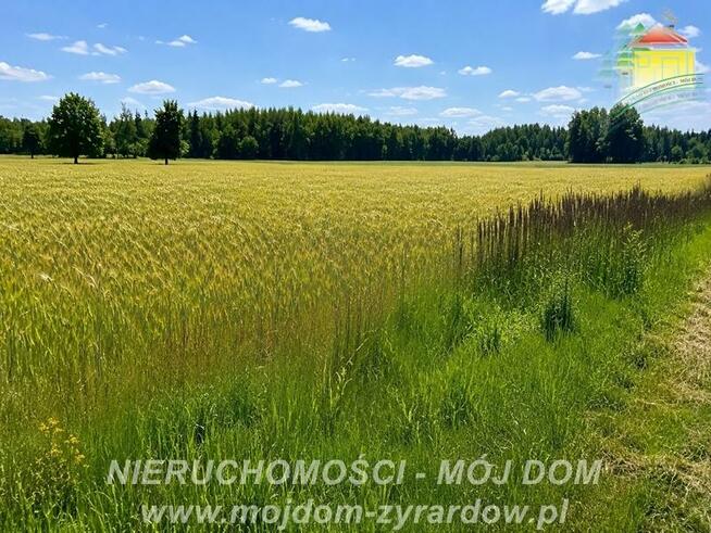Działka rolna Studzieniec gm. Puszcza Mariańska