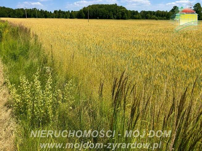 Działka rolna Studzieniec gm. Puszcza Mariańska
