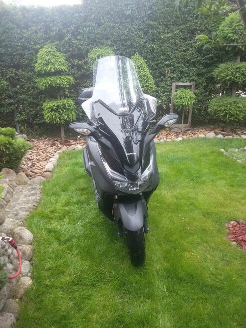 Ładna honda forza 125.