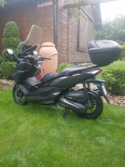 Ładna honda forza 125.