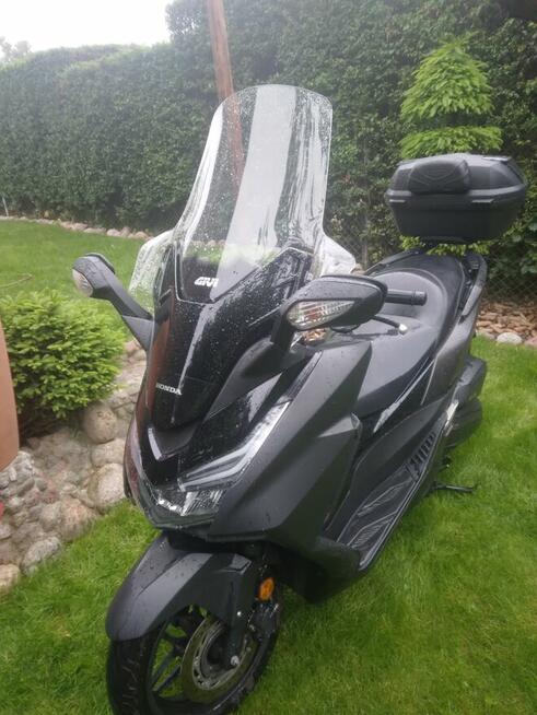Ładna honda forza 125.