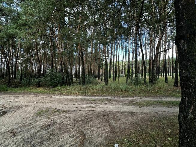 Sprzedam dwie działki rek. nad jeziorem Wieleń k/ Wolsztyn