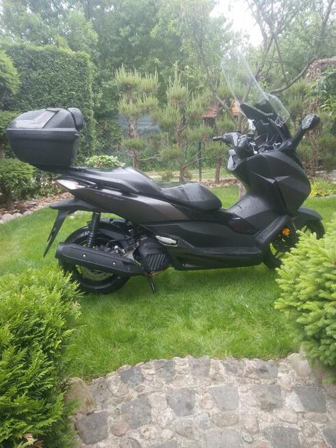 Ładna honda forza 125.