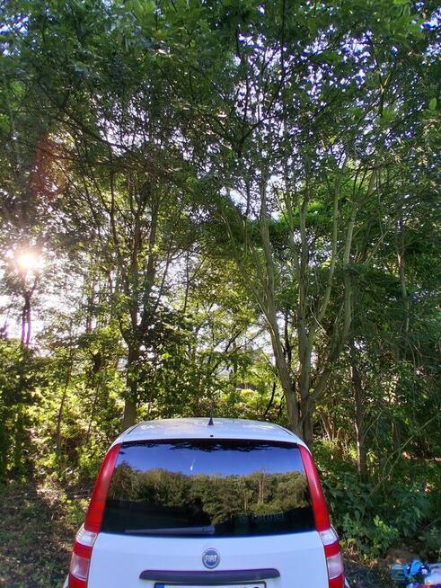 Fiat Panda Van ciężarowy