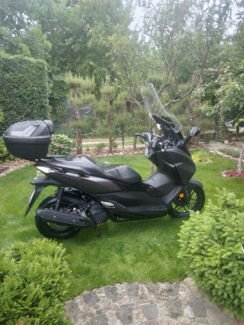 Ładna honda forza 125.