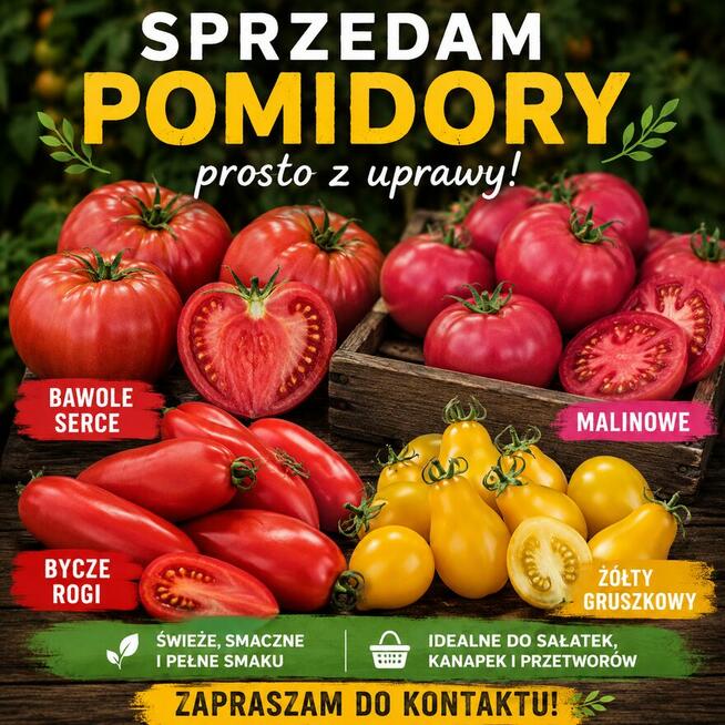 Świeże pomidory smaczne