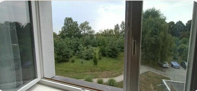 Mieszkanie do wynajęcia w Trzebownisku