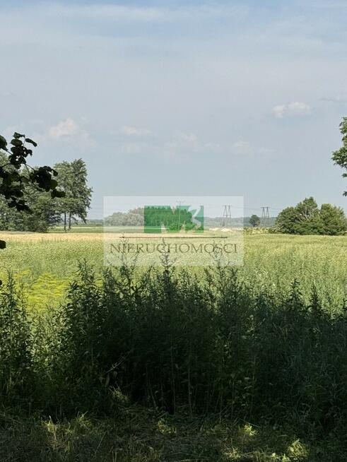 DO SPRZEDAŻY DZIAŁKA W PRZYCHOJCU