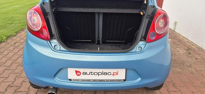 Ford KA GRZANE FOTELE