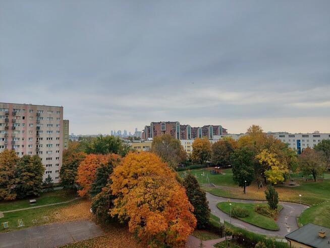 Wynajem/3 pokoje-52,45mkw/Bielany/