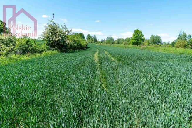 Działka rolno-budowlana Kuńkowce gm. Przemyśl