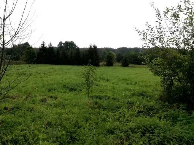 Działka budowlana Szczepanów gm. Marcinowice, Szczepanów