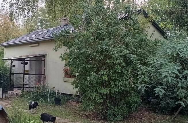 Siedlisko , Dwa domy 40 km od Warszawy