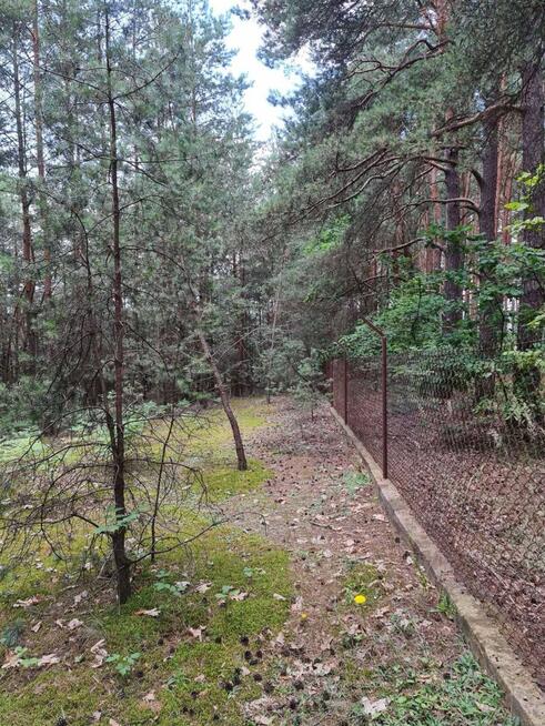 Działka budowlana | Oleszno | 1,04ha