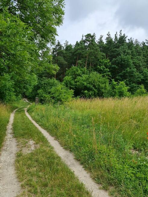 Działka budowlana | Oleszno | 1,04ha