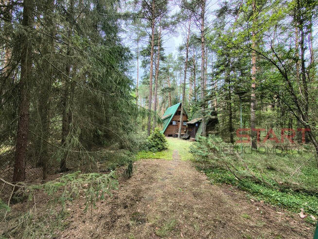 Działka rekreacyjna Władysławów gm. Żabia Wola,