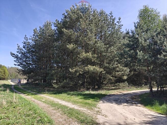 Michałów - urokliwa działka budowlana 5500 m2