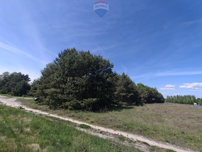 Michałów - urokliwa działka budowlana 5500 m2
