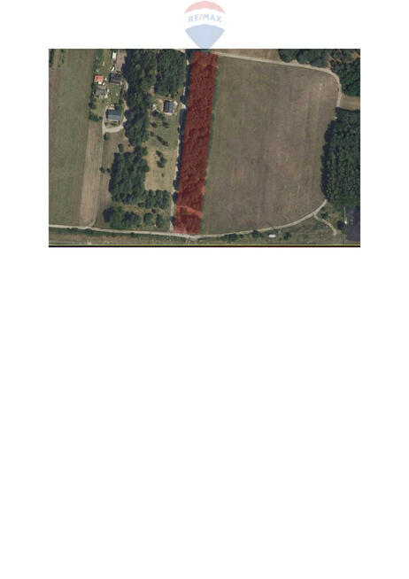 Michałów - urokliwa działka budowlana 5500 m2