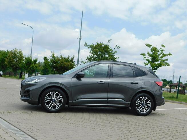 Ford Kuga ST-Line z Gwarancją Model 2021r