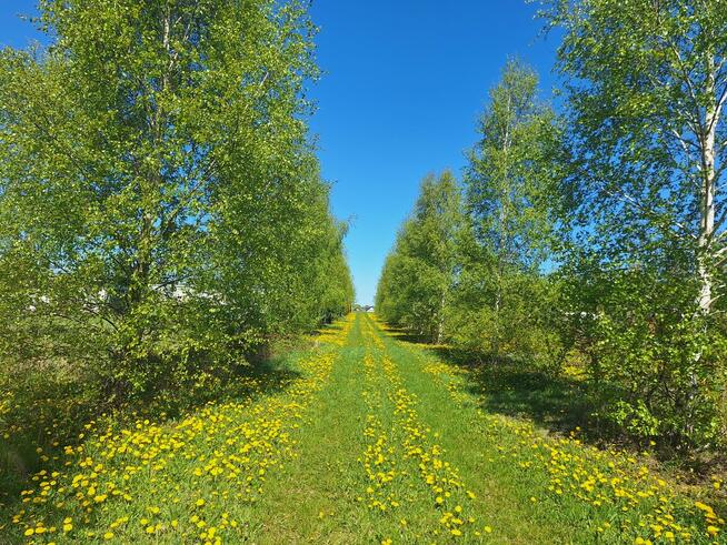 Sprzedam działkę nad morzem