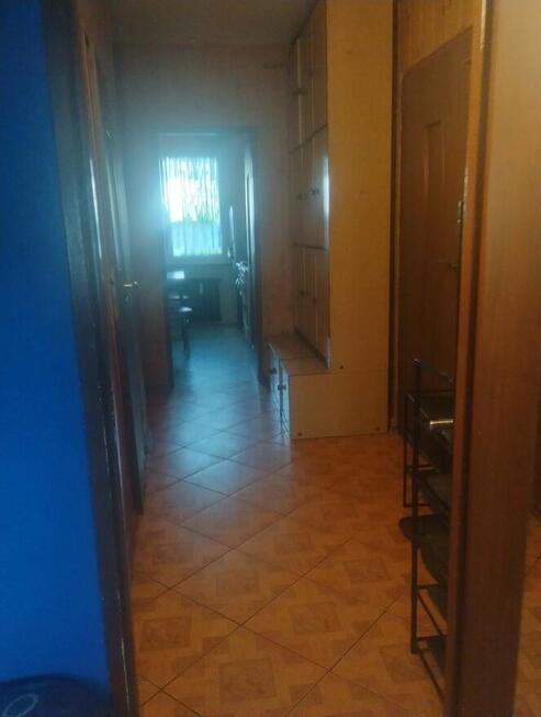 Mieszkanie do wynajęcia 38m2 w bloku od juz
