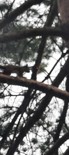 Hotelik na Pieknej