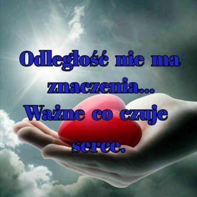 Poznam panią do stałego związku