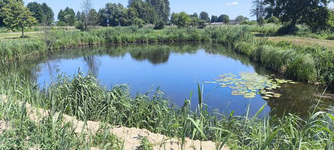 Działka na sprzedaż bez pośredników Dłużew gm. Siennica