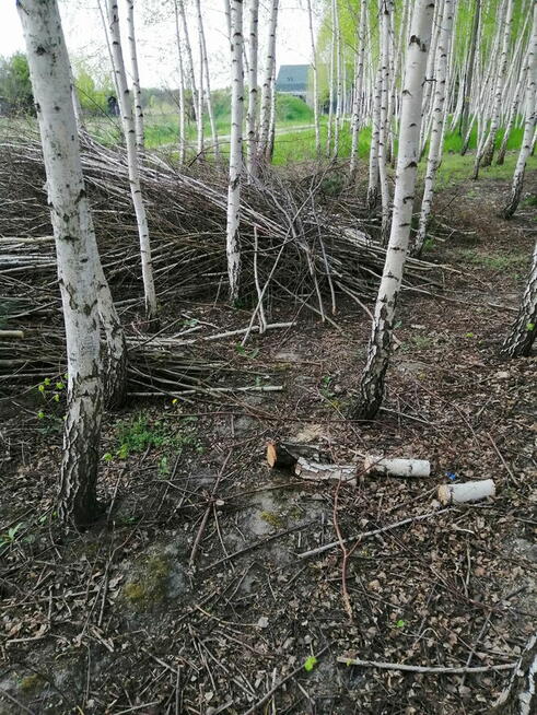 Koszenie trawy wycinka drzew rębakowanie gałęzi