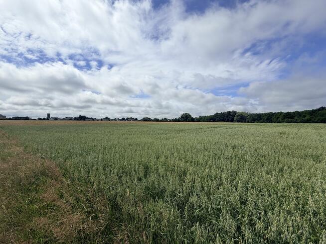 Działka inwestycyjna Wierzchucino gm. Krokowa,