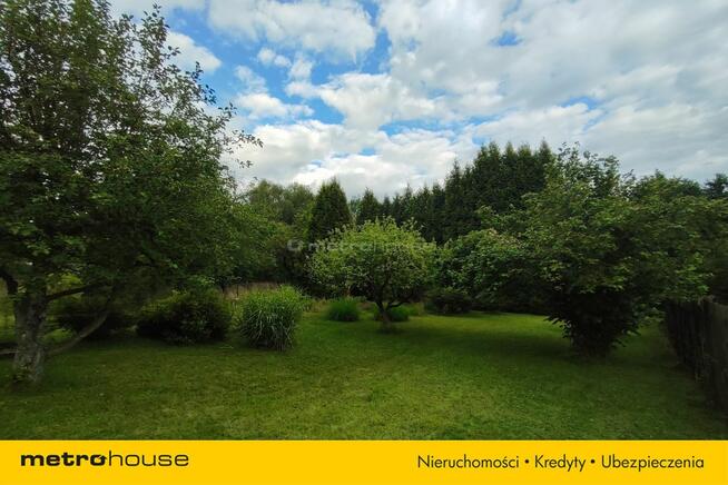 1615 m² - gotowy OGRÓD marzeń - Kamień