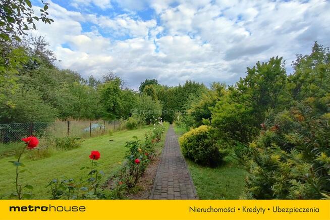 1615 m² - gotowy OGRÓD marzeń - Kamień