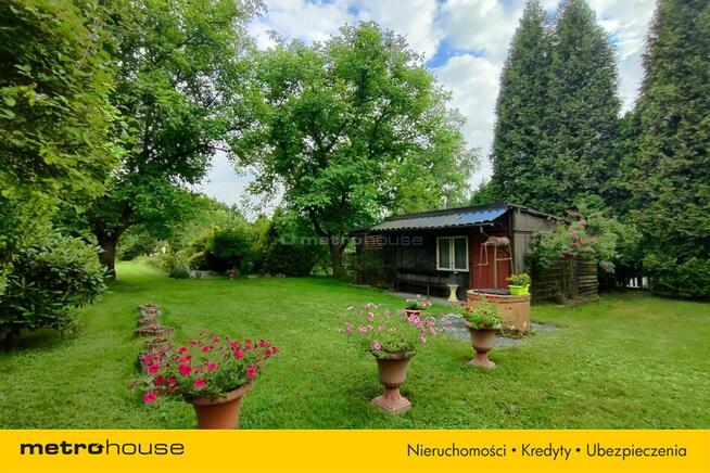 1615 m² - gotowy OGRÓD marzeń - Kamień