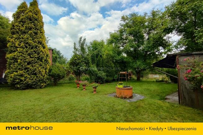 1615 m² - gotowy OGRÓD marzeń - Kamień