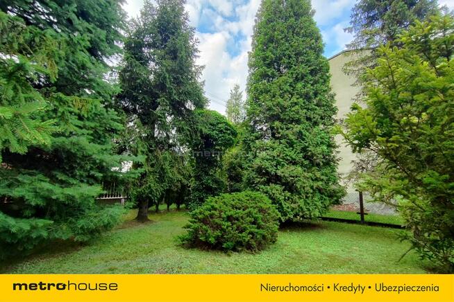1615 m² - gotowy OGRÓD marzeń - Kamień