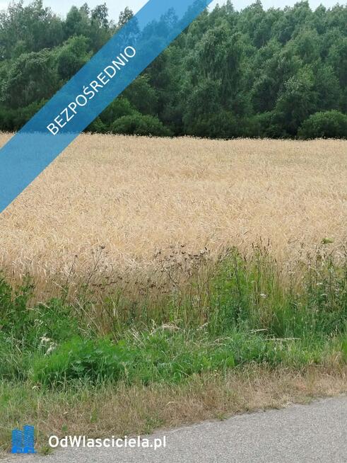 Działka z lasem i sadzawką, teren z potencjałem na siedlisko lub inwestycję, 3 km od Sokółki