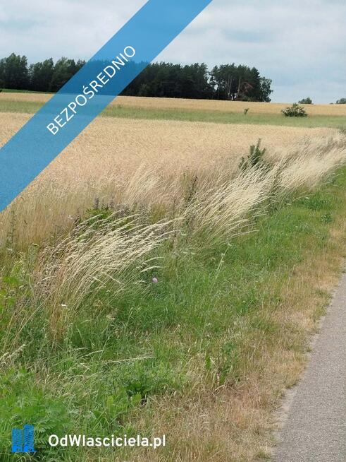 Działka z lasem i sadzawką, teren z potencjałem na siedlisko lub inwestycję, 3 km od Sokółki