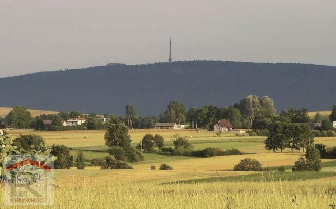 Dom+b. gospodarcze+duża działka
