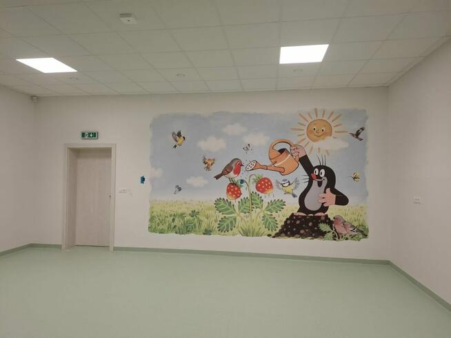 Druk ścienny, drukowanie ścian, nadruki Gliwice Katowice