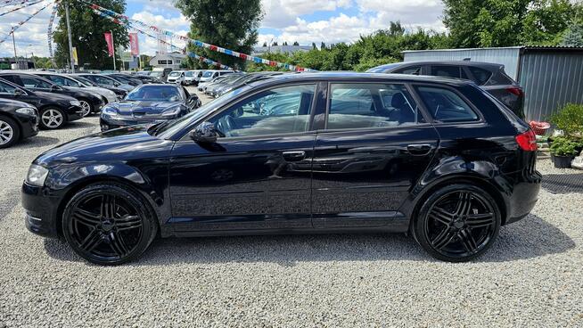 Audi A3 AUTOMAT*1,6 DIESEL*Zadbany*GWARANCJA/Możliwa zamiana - AUTOMI-X.PL
