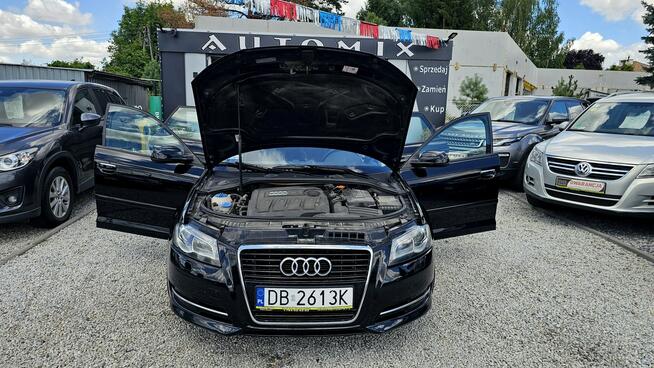 Audi A3 AUTOMAT*1,6 DIESEL*Zadbany*GWARANCJA/Możliwa zamiana - AUTOMI-X.PL