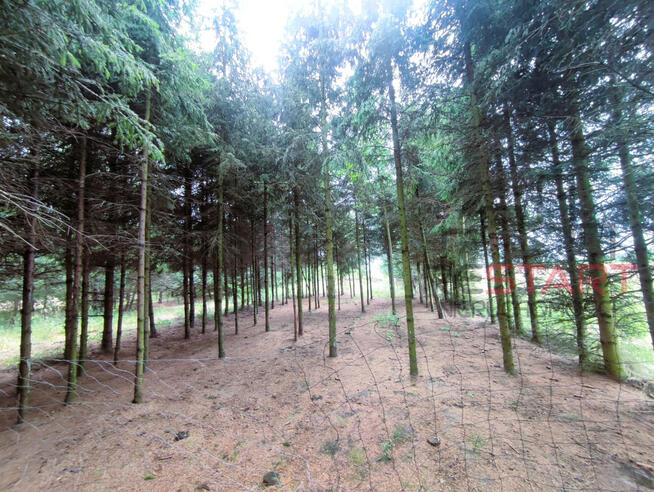 Działka budowlana Słabomierz gm. Radziejowice,