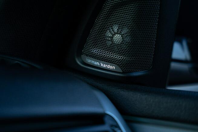 BMW X5 Harman Kardon | Komfortowe fotele | Wentylacja | Krajowy | FV 23 %