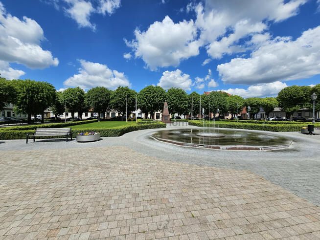 Dom Książ Wielkopolski,