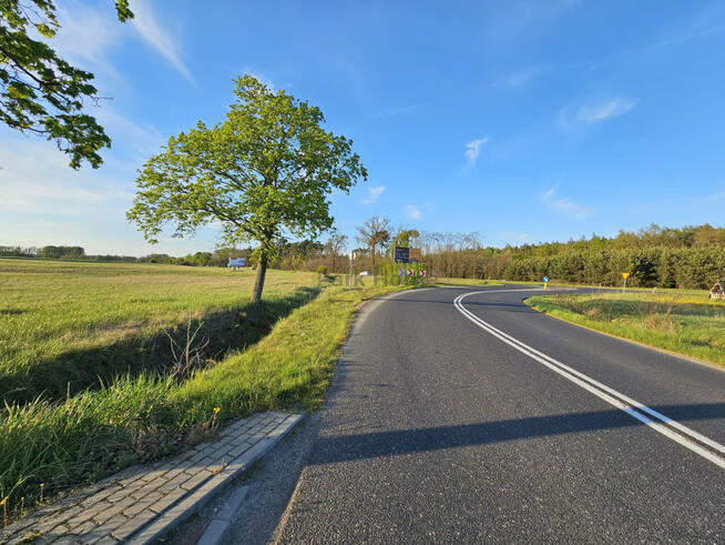 Działka inwestycyjna Zbrudzewo gm. Śrem,