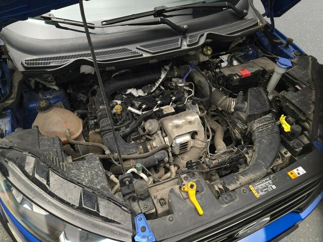 Ford EcoSport Poleasingowe.pl BZ