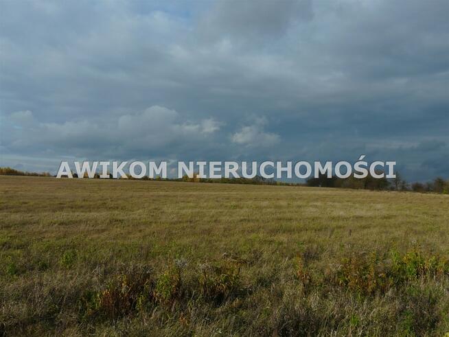 Działka rolna Puszcza Mariańska Wycześniak