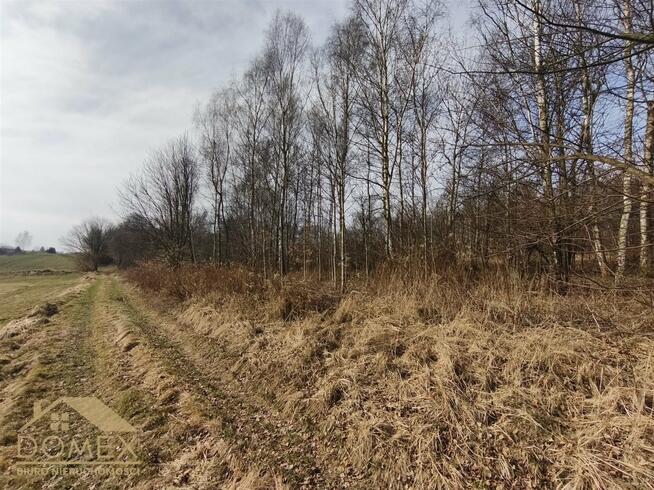 Działka budowlana Wodzisław Śląski, Kominka